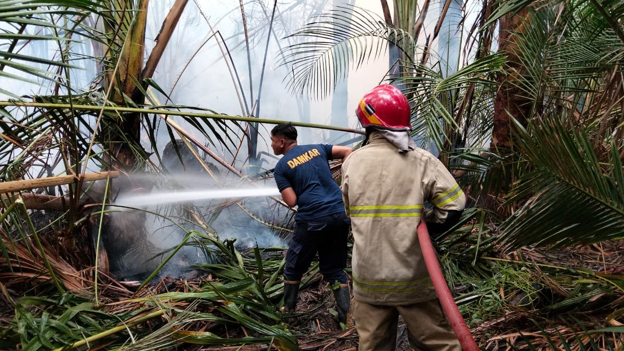 Situasi Terkini Bencana Indonesia: Penanganan Karhutla dan Dampak Erupsi Terus Berjalan