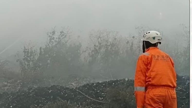 Ilustrasi Kebakaran Hutan dan Lahan (Karhutla). (Foto: BNPB)