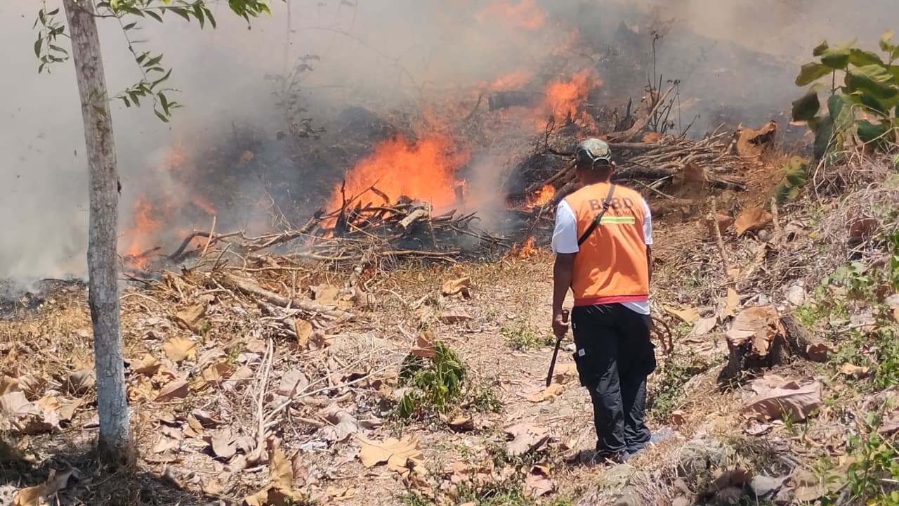 Kemajuan Penanganan serta Situasi Terkini Bencana di Indonesia, 7 September 2026