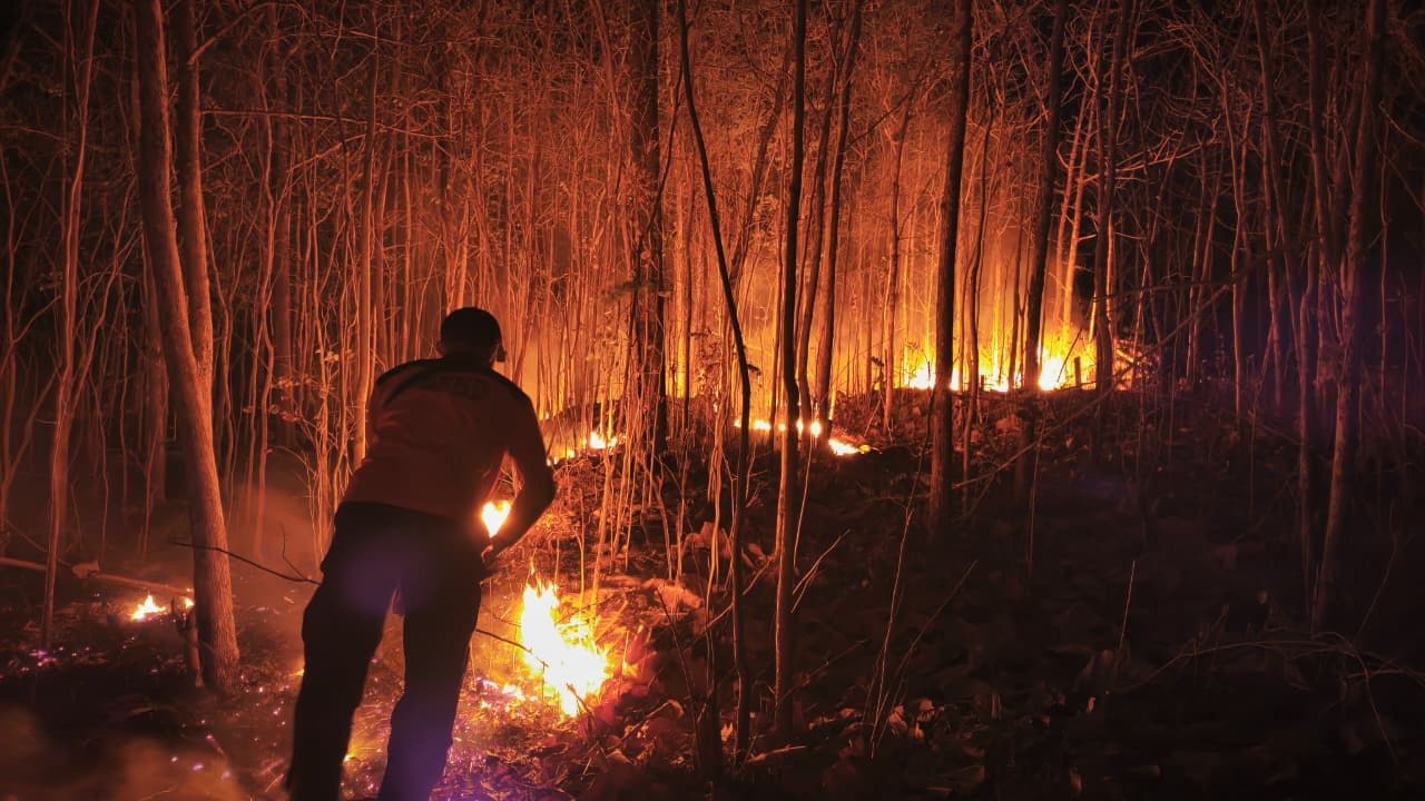Kebakaran hutan dan lahan. (Foto: BNPB Indonesia)